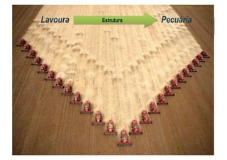 Lavoura PecuáriaEstrutura
 