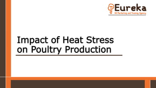 Impact of Heat Stress
on Poultry Production
 
