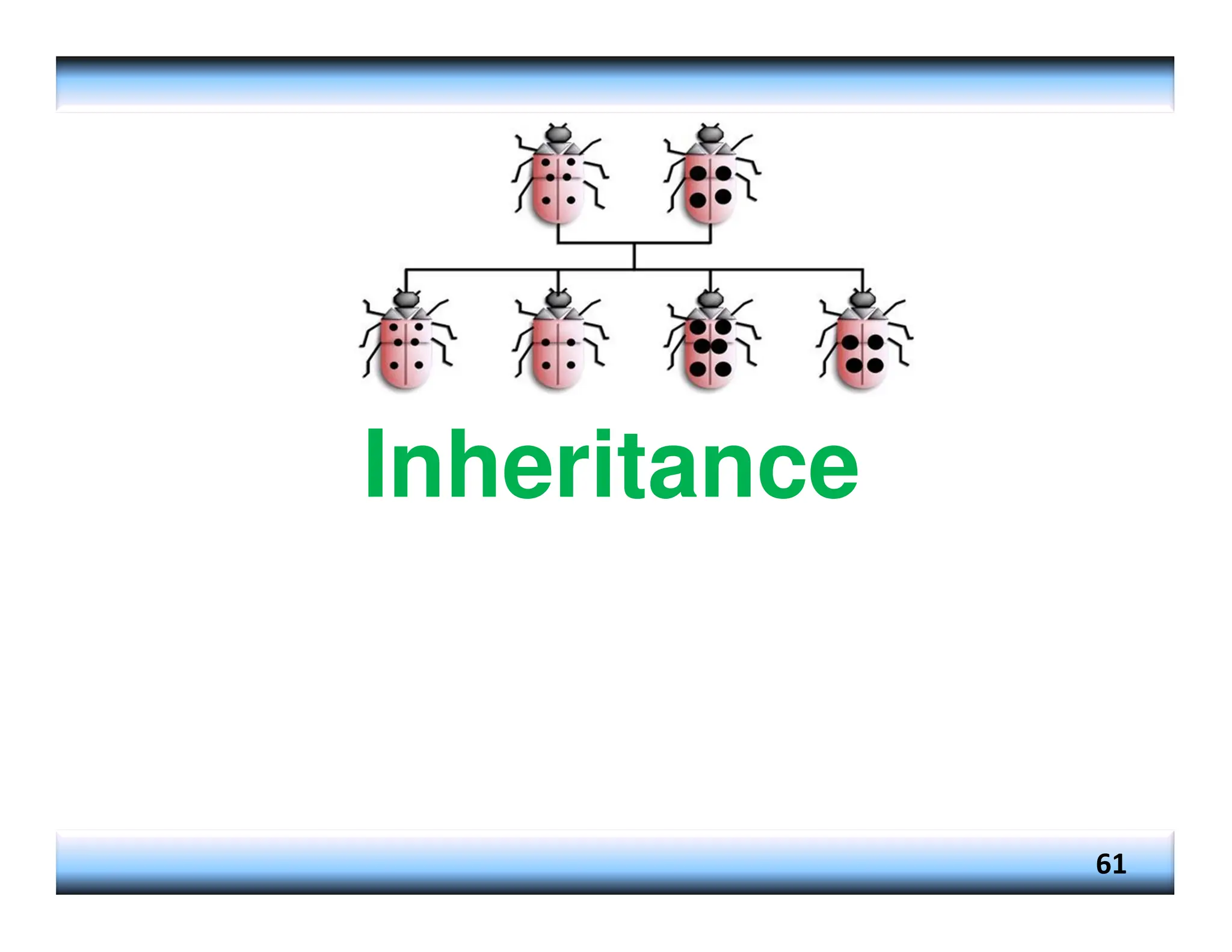 Inheritance 61 