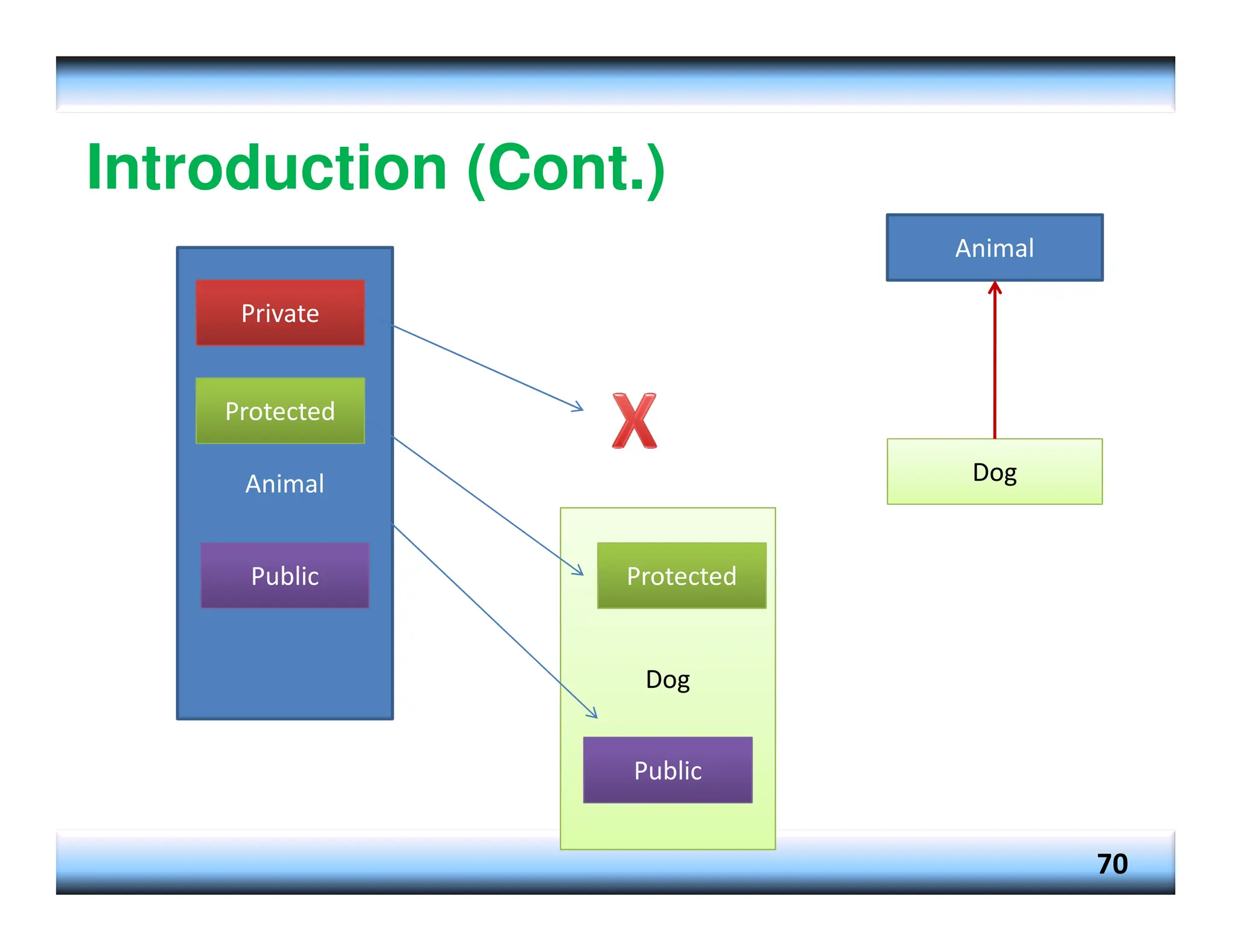 Introduction (Cont.) 70 Animal Dog Animal Dog Private Public Public Protected Protected 