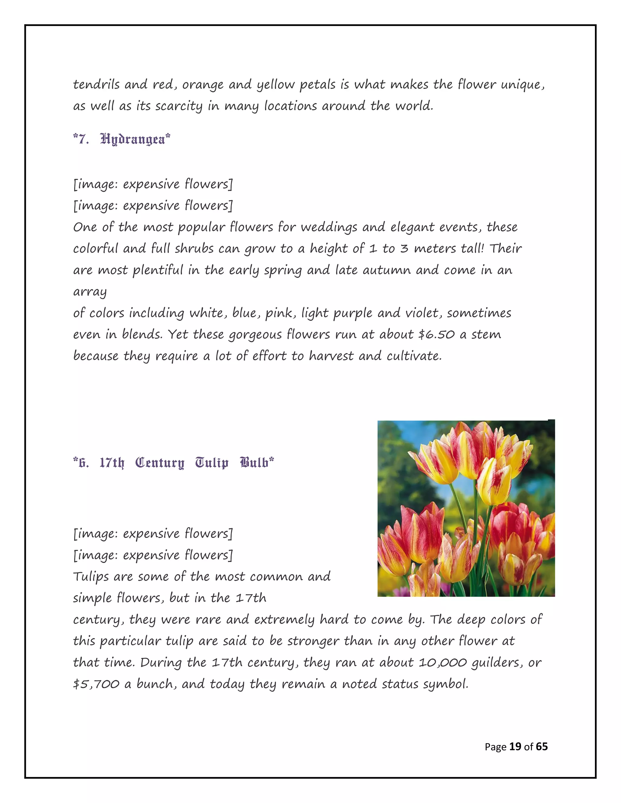 Page 19 of 65
tendrils and red, orange and yellow petals is what makes the flower unique,
as well as its scarcity in many locations around the world.
*7. Hydrangea*
[image: expensive flowers]
[image: expensive flowers]
One of the most popular flowers for weddings and elegant events, these
colorful and full shrubs can grow to a height of 1 to 3 meters tall! Their
are most plentiful in the early spring and late autumn and come in an
array
of colors including white, blue, pink, light purple and violet, sometimes
even in blends. Yet these gorgeous flowers run at about $6.50 a stem
because they require a lot of effort to harvest and cultivate.
*6. 17th Century Tulip Bulb*
[image: expensive flowers]
[image: expensive flowers]
Tulips are some of the most common and
simple flowers, but in the 17th
century, they were rare and extremely hard to come by. The deep colors of
this particular tulip are said to be stronger than in any other flower at
that time. During the 17th century, they ran at about 10,000 guilders, or
$5,700 a bunch, and today they remain a noted status symbol.
 