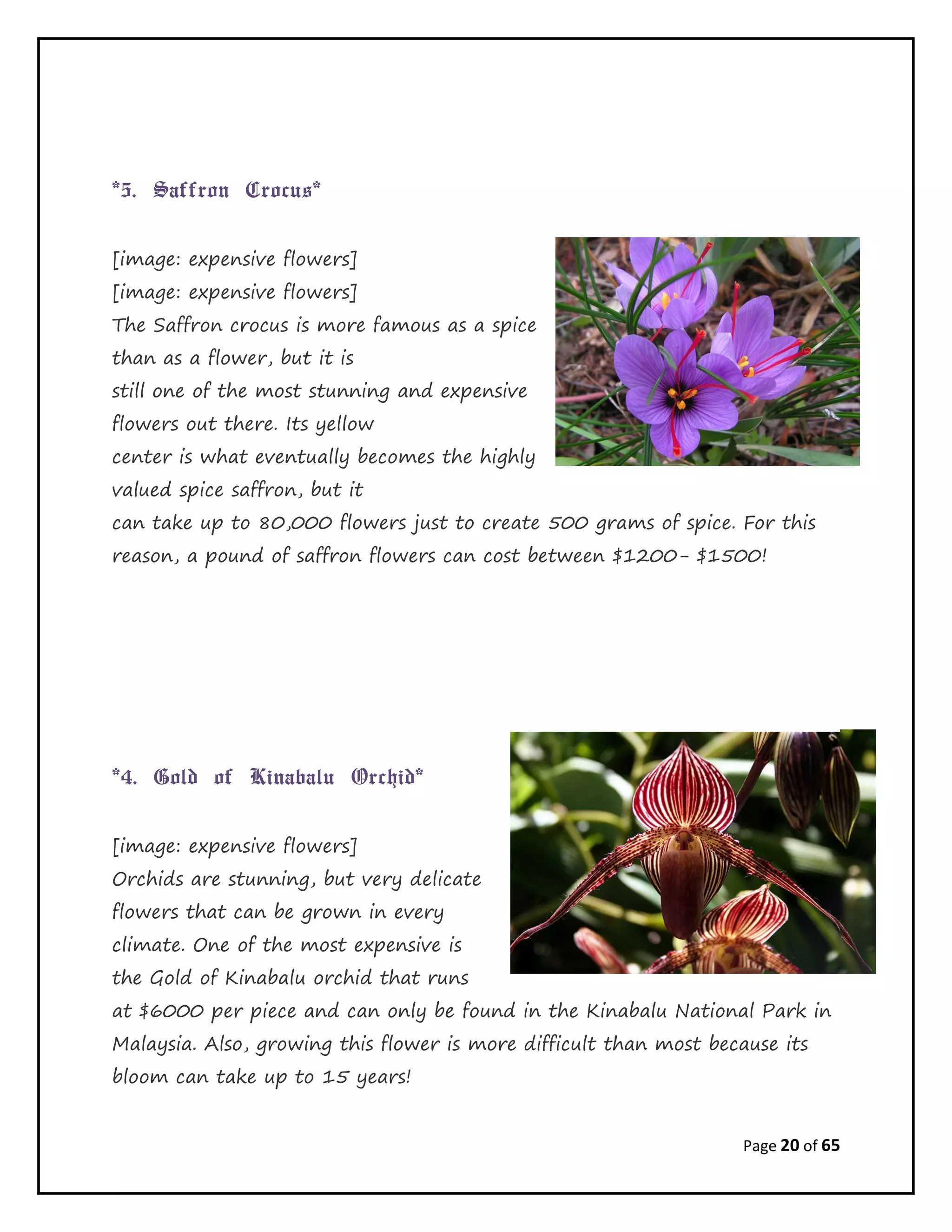 Page 20 of 65
*5. Saffron Crocus*
[image: expensive flowers]
[image: expensive flowers]
The Saffron crocus is more famous as a spice
than as a flower, but it is
still one of the most stunning and expensive
flowers out there. Its yellow
center is what eventually becomes the highly
valued spice saffron, but it
can take up to 80,000 flowers just to create 500 grams of spice. For this
reason, a pound of saffron flowers can cost between $1200- $1500!
*4. Gold of Kinabalu Orchid*
[image: expensive flowers]
Orchids are stunning, but very delicate
flowers that can be grown in every
climate. One of the most expensive is
the Gold of Kinabalu orchid that runs
at $6000 per piece and can only be found in the Kinabalu National Park in
Malaysia. Also, growing this flower is more difficult than most because its
bloom can take up to 15 years!
 