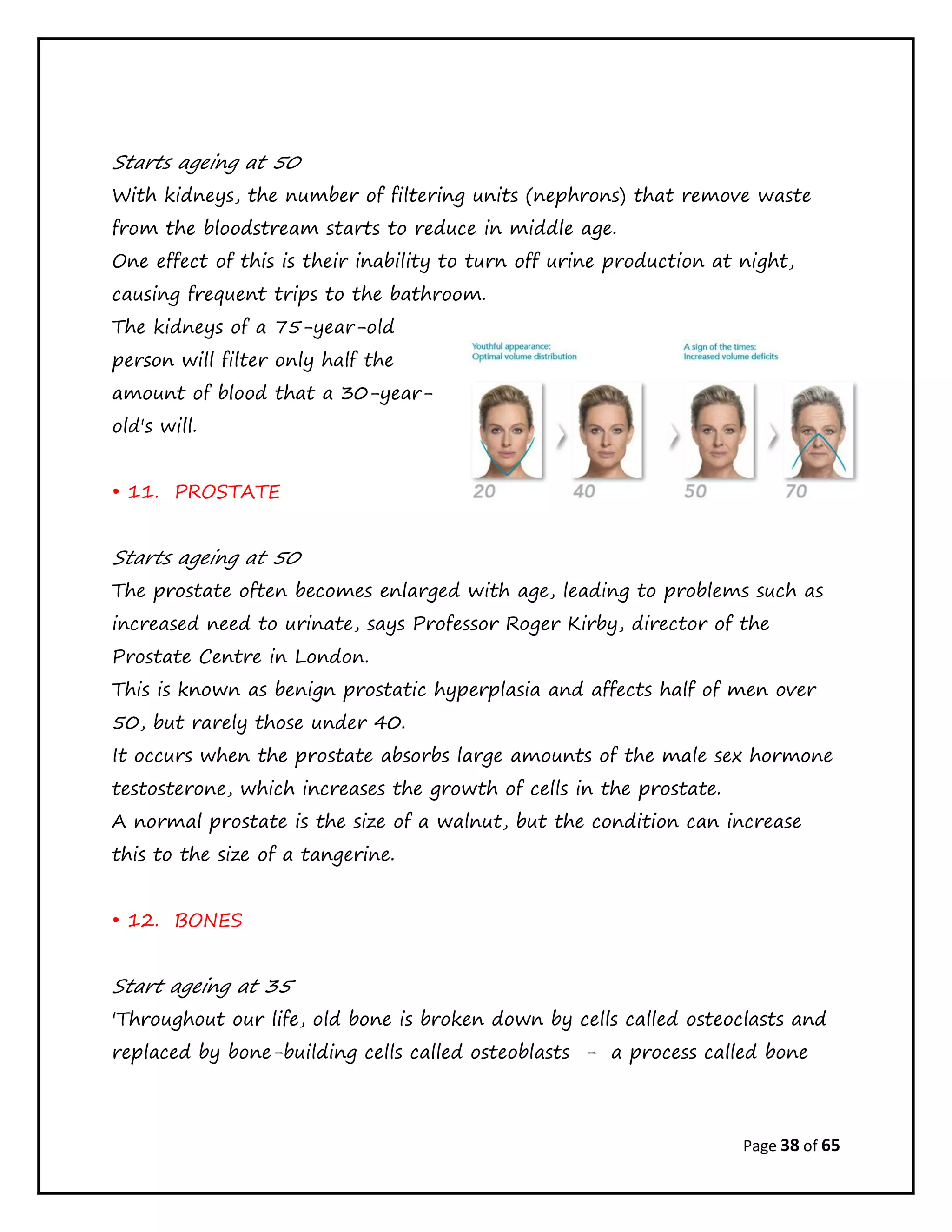 Page 38 of 65
Starts ageing at 50
With kidneys, the number of filtering units (nephrons) that remove waste
from the bloodstream starts to reduce in middle age.
One effect of this is their inability to turn off urine production at night,
causing frequent trips to the bathroom.
The kidneys of a 75-year-old
person will filter only half the
amount of blood that a 30-year-
old's will.
• 11. PROSTATE
Starts ageing at 50
The prostate often becomes enlarged with age, leading to problems such as
increased need to urinate, says Professor Roger Kirby, director of the
Prostate Centre in London.
This is known as benign prostatic hyperplasia and affects half of men over
50, but rarely those under 40.
It occurs when the prostate absorbs large amounts of the male sex hormone
testosterone, which increases the growth of cells in the prostate.
A normal prostate is the size of a walnut, but the condition can increase
this to the size of a tangerine.
• 12. BONES
Start ageing at 35
'Throughout our life, old bone is broken down by cells called osteoclasts and
replaced by bone-building cells called osteoblasts - a process called bone
 