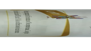 Power Point Presentation on MS Word 2010