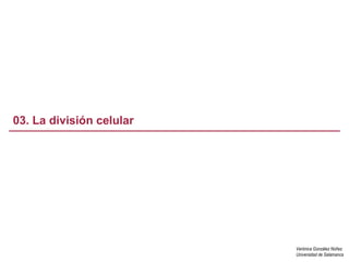 03. La división celular




                          Verónica González Núñez
                          Universidad de Salamanca
 