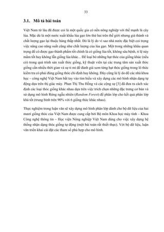33
3.1. Mô tả bài toán
Việt Nam từ lâu đã được coi là một quốc gia có nền nông nghiệp với thế mạnh là cây
lúa. Mặc dù là một nước xuất khẩu lúa gạo lớn thứ hai trên thế giới nhưng giá thành và
chất lượng gạo lại thuộc hàng thấp nhất. Đó là lý do vì sao nhà nước đặc biệt coi trọng
việc nâng cao năng suất cũng như chất lượng của lúa gạo. Một trong những khâu quan
trọng để có được gạo thành phẩm tốt chính là có giống lúa tốt, không sâu bệnh, tỉ lệ nảy
mầm tốt hay không lẫn giống lúa khác... Để loại bỏ những hạt thóc của giống khác (nếu
có) trong quá trình sản xuất thóc giống, kỹ thuật viên tại các trung tâm sản xuất thóc
giống cần nhiều thời gian và sự tỉ mỉ để đánh giá xem từng hạt thóc giống trong lô thóc
kiểm tra có phải đúng giống thóc chỉ định hay không. Đây cũng là lý do để các nhà khoa
học – công nghệ Việt Nam bắt tay vào tìm hiểu và xây dựng các mô hình nhận dạng tự
động dựa trên thị giác máy. Phan Thị Thu Hồng và các cộng sự [3] đã đưa ra cách xác
định các loại thóc giống khác nhau dựa trên việc trích chọn những đặc trưng cơ bản và
sử dụng mô hình Rừng ngẫu nhiên (Random Forest) để phân lớp cho kết quả phân lớp
khá tốt (trung bình trên 90% với 6 giống thóc khác nhau).
Thực nghiệm trong luận văn sẽ xây dựng mô hình phân lớp dành cho bộ dữ liệu của hai
mươi giống thóc của Việt Nam được cung cấp bởi Bộ môn Khoa học máy tính – Khoa
Công nghệ thông tin – Học viện Nông nghiệp Việt Nam dùng cho việc xây dựng hệ
thống nhận dạng thóc giống tự động (một bài toán rất thiết thực). Với bộ dữ liệu, luận
văn triển khai cài đặt các tham số phù hợp cho mô hình.
 