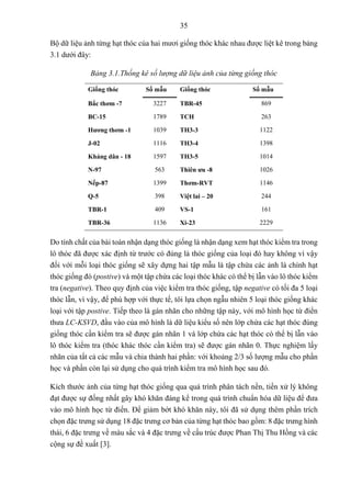 35
Bộ dữ liệu ảnh từng hạt thóc của hai mươi giống thóc khác nhau được liệt kê trong bảng
3.1 dưới đây:
Bảng 3.1.Thống kê số lượng dữ liệu ảnh của từng giống thóc
Giống thóc Số mẫu Giống thóc Số mẫu
Bắc thơm -7 3227 TBR-45 869
BC-15 1789 TCH 263
Hương thơm -1 1039 TH3-3 1122
J-02 1116 TH3-4 1398
Kháng dân - 18 1597 TH3-5 1014
N-97 563 Thiên ưu -8 1026
Nếp-87 1399 Thơm-RVT 1146
Q-5 398 Việt lai – 20 244
TBR-1 409 VS-1 161
TBR-36 1136 Xi-23 2229
Do tính chất của bài toán nhận dạng thóc giống là nhận dạng xem hạt thóc kiểm tra trong
lô thóc đã được xác định từ trước có đúng là thóc giống của loại đó hay không vì vậy
đối với mỗi loại thóc giống sẽ xây dựng hai tập mẫu là tập chứa các ảnh là chính hạt
thóc giống đó (postive) và một tập chứa các loại thóc khác có thể bị lẫn vào lô thóc kiểm
tra (negative). Theo quy định của việc kiểm tra thóc giống, tập negative có tối đa 5 loại
thóc lẫn, vì vậy, để phù hợp với thực tế, tôi lựa chọn ngẫu nhiên 5 loại thóc giống khác
loại với tập postive. Tiếp theo là gán nhãn cho những tập này, với mô hình học từ điển
thưa LC-KSVD, đầu vào của mô hình là dữ liệu kiểu số nên lớp chứa các hạt thóc đúng
giống thóc cần kiểm tra sẽ được gán nhãn 1 và lớp chứa các hạt thóc có thể bị lẫn vào
lô thóc kiểm tra (thóc khác thóc cần kiểm tra) sẽ được gán nhãn 0. Thực nghiệm lấy
nhãn của tất cả các mẫu và chia thành hai phần: với khoảng 2/3 số lượng mẫu cho phần
học và phần còn lại sử dụng cho quá trình kiểm tra mô hình học sau đó.
Kích thước ảnh của từng hạt thóc giống qua quá trình phân tách nền, tiền xử lý không
đạt được sự đống nhất gây khó khăn đáng kể trong quá trình chuẩn hóa dữ liệu để đưa
vào mô hình học từ điển. Để giảm bớt khó khăn này, tôi đã sử dụng thêm phần trích
chọn đặc trưng sử dụng 18 đặc trưng cơ bản của từng hạt thóc bao gồm: 8 đặc trưng hình
thái, 6 đặc trưng về màu sắc và 4 đặc trưng về cấu trúc được Phan Thị Thu Hồng và các
cộng sự đề xuất [3].
 
