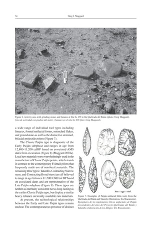 Greg J. Maggard34
Figure 6. Activity area with grinding stones and batanes at Site Je 439 in the Quebrada del Batán (photo: Greg Maggard).
Área de actividad con piedras del moler y batanes en el sitio Je 439 (foto: Greg Maggard).
Figure 7. Examples of Paiján unifacial lithic tools from the
Quebradas del Batán andTalambo (Illustrations: Iris Bracamonte).
Ejemplares de los implementos líticos unifaciales de Paiján
procendentes del área del Proyecto Quebradas del Batán y
Talambo (elaboración de los dibujos: Iris Bracamonte).
a wide range of individual tool types including
limaces, formal unifacial forms, retouched flakes,
and groundstone-as well as the distinctive stemmed,
bifacial projectile points (Figure 7).
The Classic Paiján type is diagnostic of the
Early Paiján subphase and ranges in age from
12,800-11,200 calBP based on associated AMS
dates from excavation (Figure 8) (Maggard 2010a).
Local raw materials were overwhelmingly used in the
manufacture of Classic Paiján points, which stands
in contrast to the contemporary Fishtail points that
frequently made use of non-local materials. The
remaining three types (Talambo, Contracting Narrow
stem, and Contracting Broad stem) are all believed
to range in age between 11,200-9,600 cal BP based
on associated dates and are representative of the
Late Paiján subphase (Figure 9). These types are
neither as internally consistent nor as long-lasting as
the earlier Classic Paiján type, but display a similar
heavy reliance on locally available raw materials.
At present, the technological relationships
between the Early and Late Paiján types remain
unclear. The contemporaneous presence of distinct
 