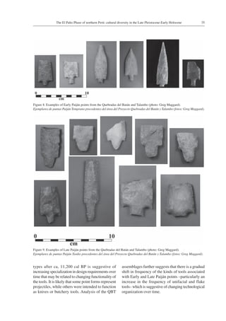 35The El Palto Phase of northern Perú: cultural diversity in the Late Pleistocene-Early Holocene
Figure 8. Examples of Early Paiján points from the Quebradas del Batán and Talambo (photo: Greg Maggard).
Ejemplares de puntas Paiján Temprano procedentes del área del Proyecto Quebradas del Batán y Talambo (fotos: Greg Maggard).
Figure 9. Examples of Late Paiján points from the Quebradas del Batán and Talambo (photo: Greg Maggard).
Ejemplares de puntas Paiján Tardio procedentes del área del Proyecto Quebradas del Batán y Talambo (fotos: Greg Maggard).
types after ca, 11,200 cal BP is suggestive of
increasing specialization in design requirements over
time that may be related to changing functionality of
the tools. It is likely that some point forms represent
projectiles, while others were intended to function
as knives or butchery tools. Analysis of the QBT
assemblages further suggests that there is a gradual
shift in frequency of the kinds of tools associated
with Early and Late Paiján points –particularly an
increase in the frequency of unifacial and flake
tools– which is suggestive of changing technological
organization over time.
 