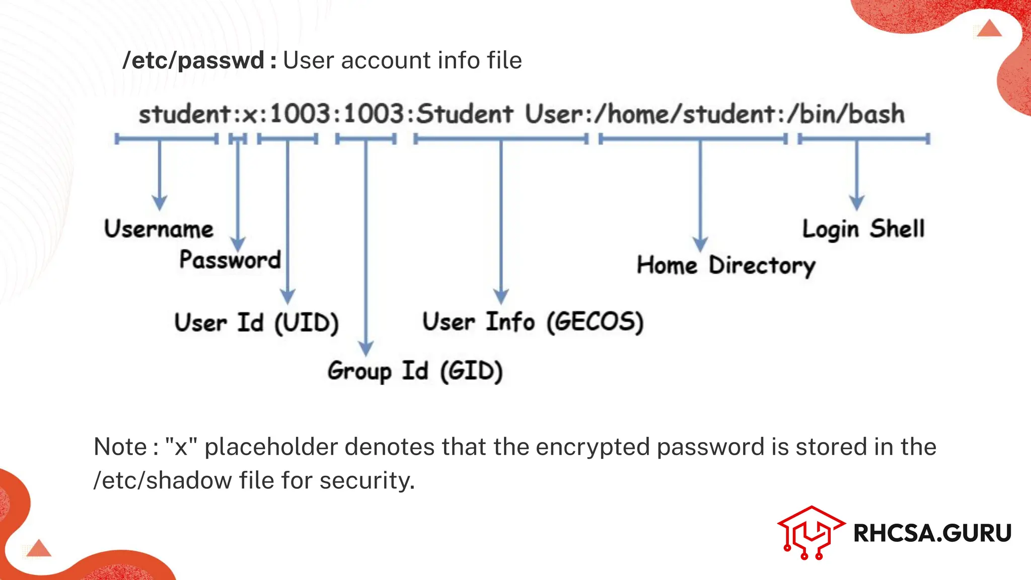 /etc/passwd : User account info ﬁle
Note : "x" placeholder denotes that the encrypted password is stored in the
/etc/shadow ﬁle for security.
 