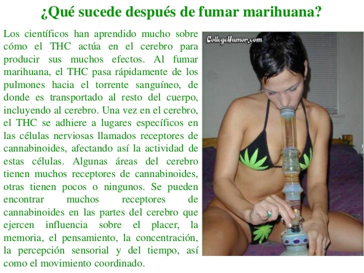 Como curar la dependencia al fumar de la hierba