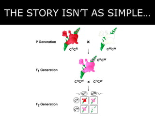 THE STORY ISN’T AS SIMPLE…

 