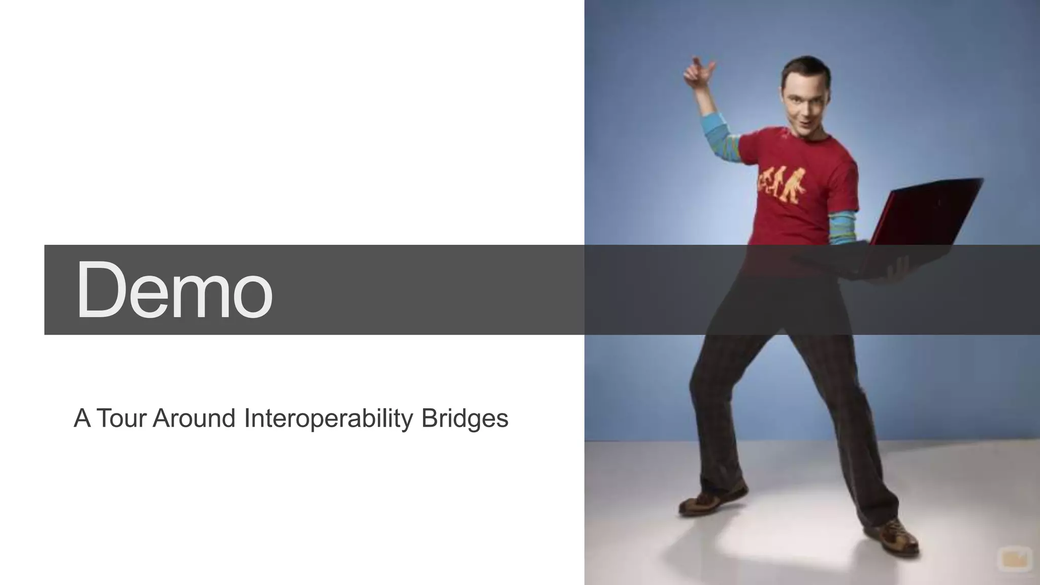 A Tour Around Interoperability Bridges
 