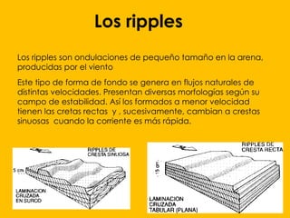 Actúa sobre materiales suelto. Arrastra pequeñas partículas. Cuando transporta materiales pequeños y deja rocas grandes se forman los desiertos áridos conocidos como REGS.