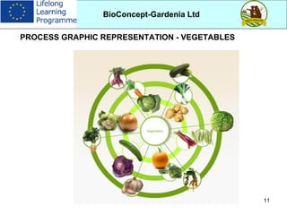11
BioConcept-Gardenia Ltd
FRESH
FROZEN
PUREE
JUICE
DRIED FRUITS
PROCESS GRAPHIC REPRESENTATION - VEGETABLES
 