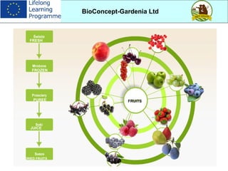 7
BioConcept-Gardenia Ltd
FRESH
FROZEN
PUREE
JUICE
DRIED FRUITS
FRUITS
 