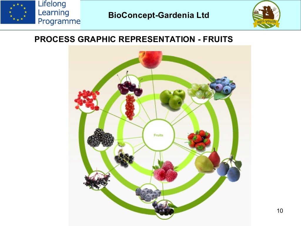 Gardenia case study image