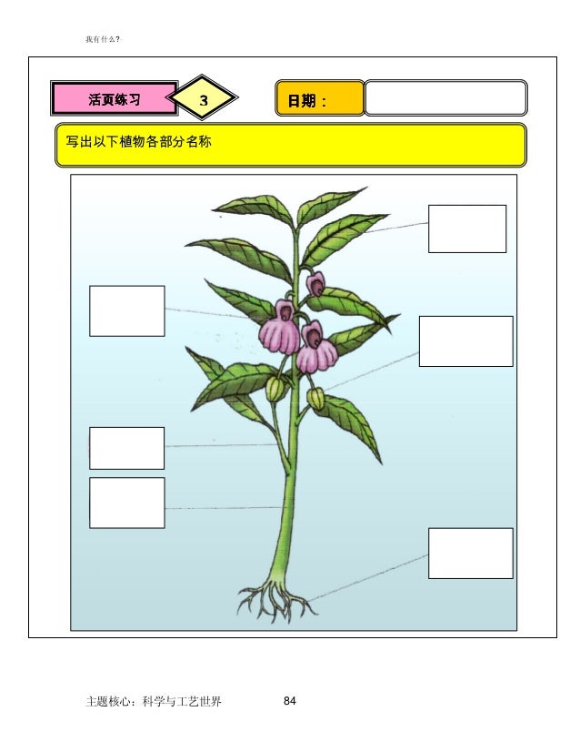 03 Modul Pengajaran Sains Tahun 1 Versi Bahasa Cina