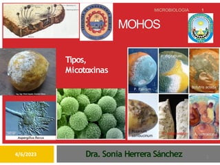 MOHOS
Tipos,
Micotoxinas
MICROBIOLOGIA 1
Dra. Sonia Herrera Sánchez 1
4/6/2023
 