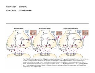 RECAPTACION 1 - NEURONAL 
RECAPTACION 2 - EXTRANEURONAL 
 