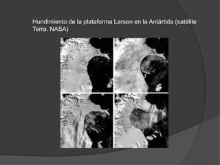 Hundimiento de la plataforma Larsen en la Antártida (satélite
Terra. NASA)

 
