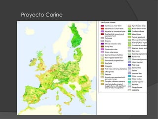 Proyecto Corine

 