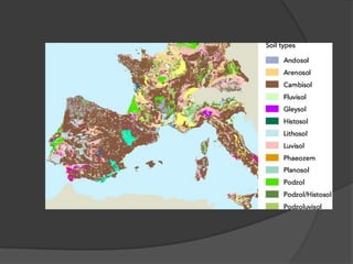 nuevas tecnologías MA