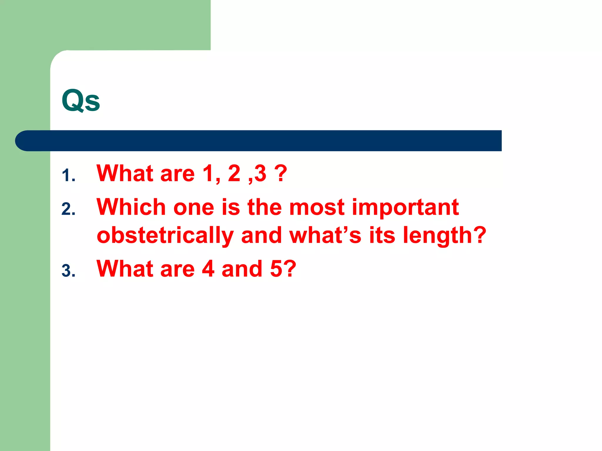 Qs
1. What are 1, 2 ,3 ?
2. Which one is the most important
obstetrically and what’s its length?
3. What are 4 and 5?
 