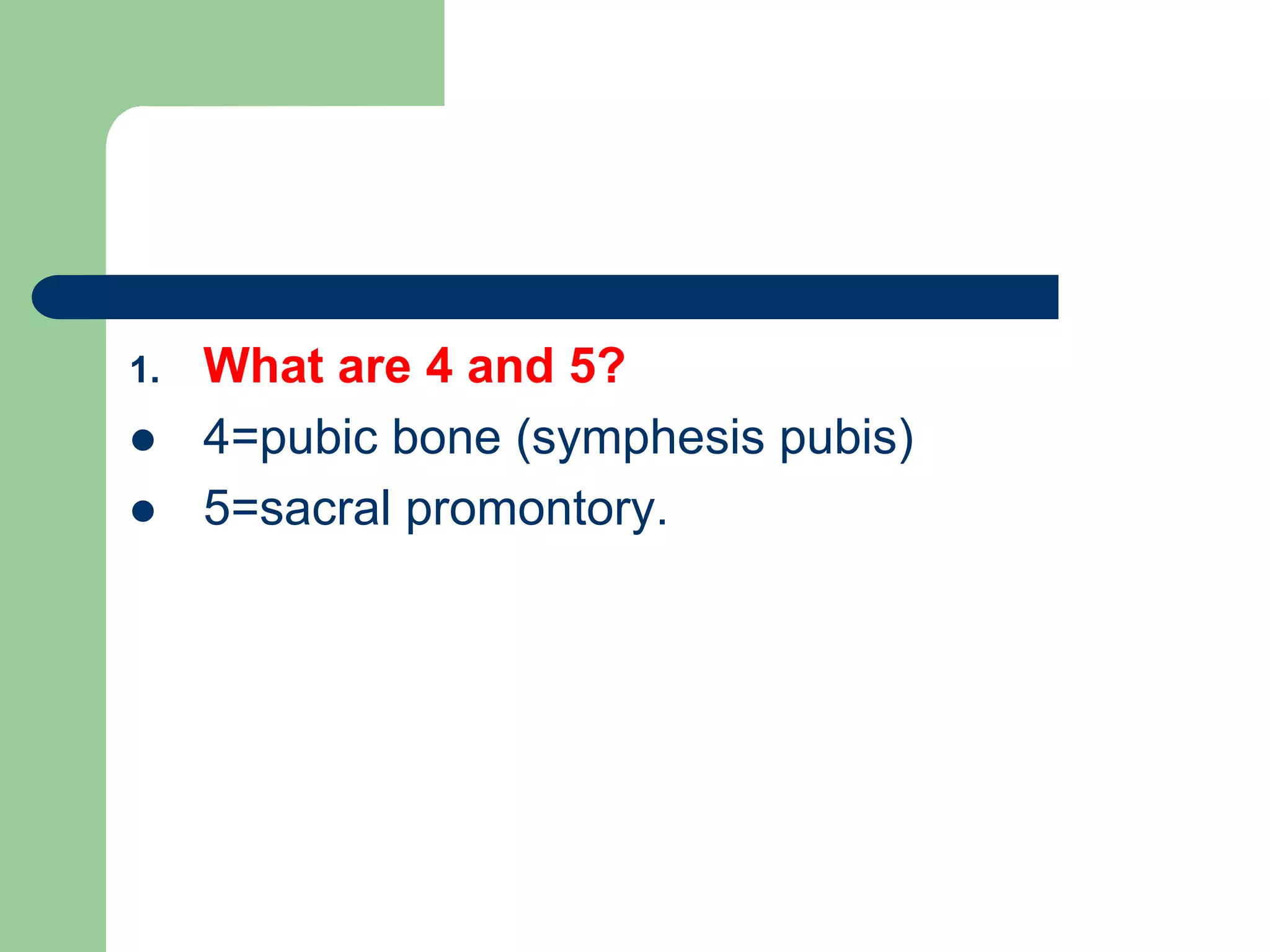 1. What are 4 and 5?
 4=pubic bone (symphesis pubis)
 5=sacral promontory.
 