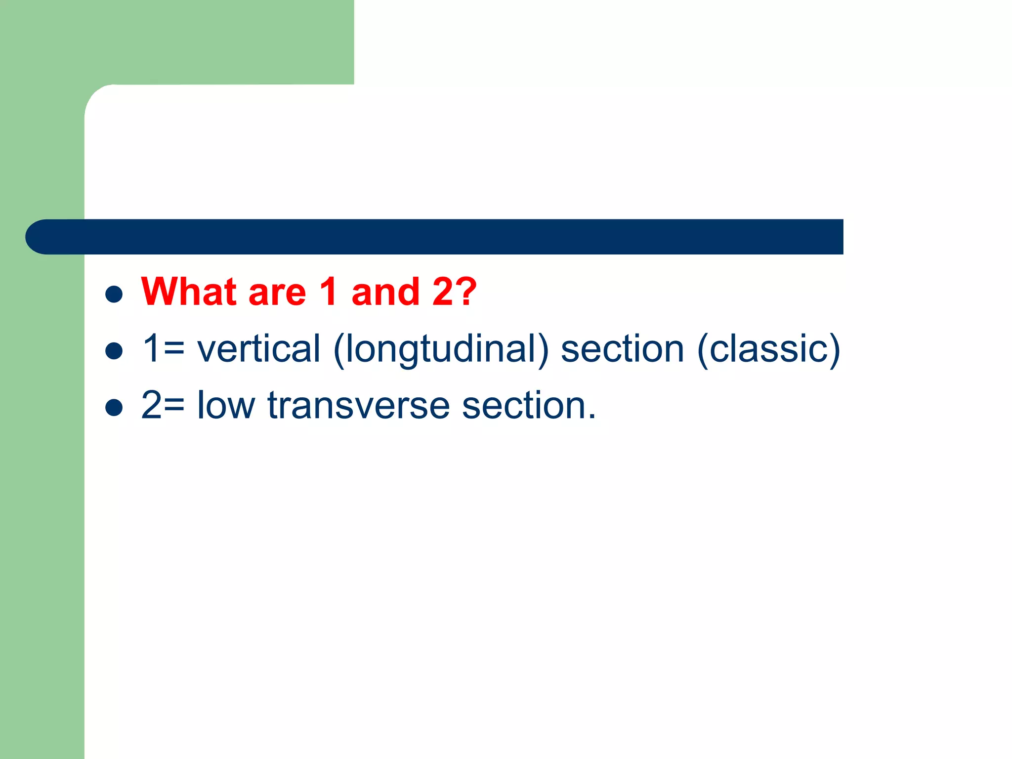  What are 1 and 2?
 1= vertical (longtudinal) section (classic)
 2= low transverse section.
 