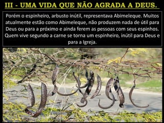 Porém o espinheiro, arbusto inútil, representava Abimeleque. Muitos
atualmente estão como Abimeleque, não produzem nada de útil para
Deus ou para a próximo e ainda ferem as pessoas com seus espinhos.
Quem vive segundo a carne se torna um espinheiro, inútil para Deus e
para a Igreja.
 