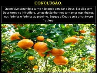 Quem vive segundo a carne não pode agradar a Deus. E a vida sem
Deus torna-se infrutífera. Longe do Senhor nos tornamos espinheiros,
nos ferimos e ferimos ao próximo. Busque a Deus e seja uma árvore
frutífera.
 
