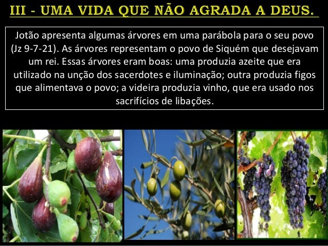 Jotão apresenta algumas árvores em uma parábola para o seu povo
(Jz 9-7-21). As árvores representam o povo de Siquém que d...