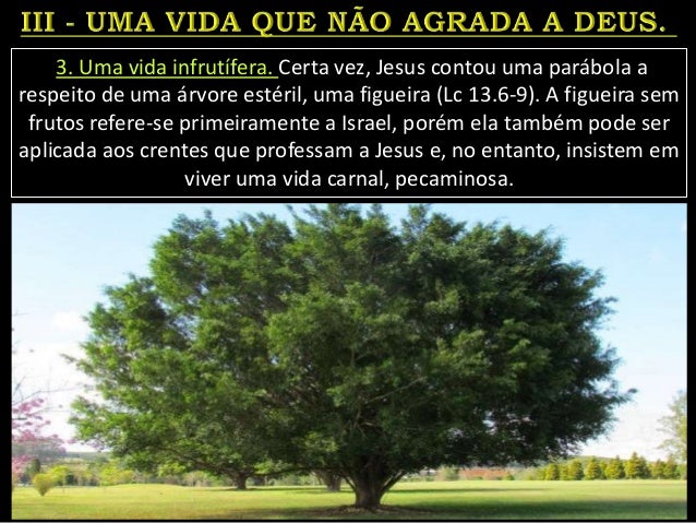 3. Uma vida infrutífera. Certa vez, Jesus contou uma parábola a
respeito de uma árvore estéril, uma figueira (Lc 13.6-9). ...
