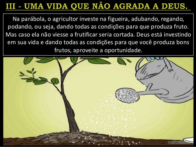 Na parábola, o agricultor investe na figueira, adubando, regando,
podando, ou seja, dando todas as condições para que prod...