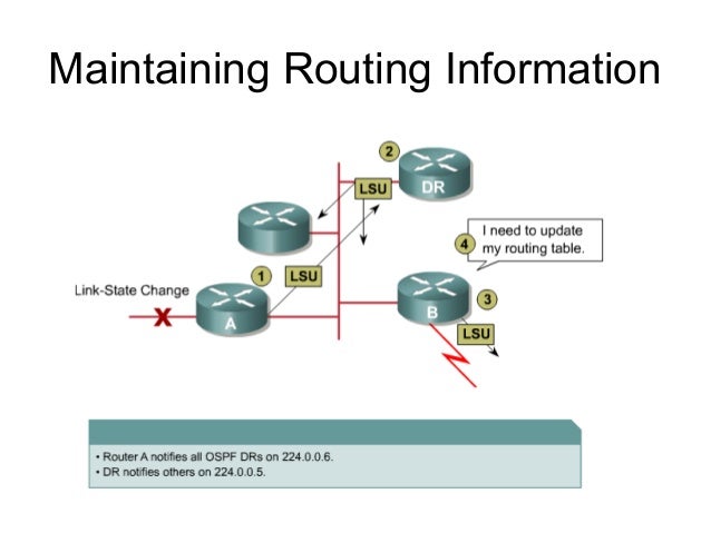 03 ospf