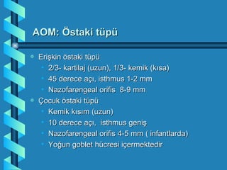 AOM: Östaki tüpü

a   Erişkin östaki tüpü
     • 2/3- kartilaj (uzun), 1/3- kemik (kısa)
     • 45 derece açı, isthmus 1-2 mm
     • Nazofarengeal orifis 8-9 mm
a   Çocuk östaki tüpü
     • Kemik kısım (uzun)
     • 10 derece açı, isthmus geniş
     • Nazofarengeal orifis 4-5 mm ( infantlarda)
     • Yoğun goblet hücresi içermektedir
 