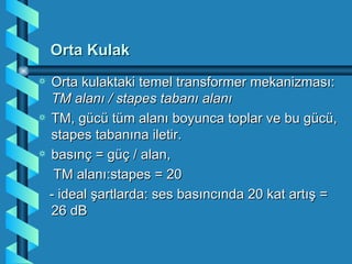 Orta Kulak
a Orta kulaktaki temel transformer mekanizması:
  TM alanı / stapes tabanı alanı
a TM, gücü tüm alanı boyunca toplar ve bu gücü,
  stapes tabanına iletir.
a basınç = güç / alan,

   TM alanı:stapes = 20
  - ideal şartlarda: ses basıncında 20 kat artış =
  26 dB
 