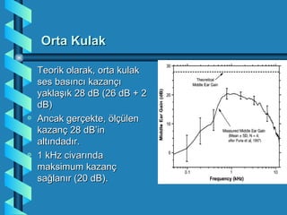 Orta Kulak

a   Teorik olarak, orta kulak
    ses basıncı kazançı
    yaklaşık 28 dB (26 dB + 2
    dB)
a   Ancak gerçekte, ölçülen
    kazanç 28 dB’in
    altındadır.
a   1 kHz civarında
    maksimum kazanç
    sağlanır (20 dB).
 