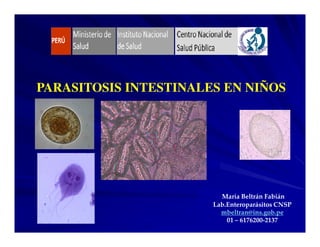 PARASITOSIS INTESTINALES EN NIÑOS
María Beltrán Fabián
Lab.Enteroparásitos CNSP
mbeltran@ins.gob.pe
01 – 6176200-2137
 