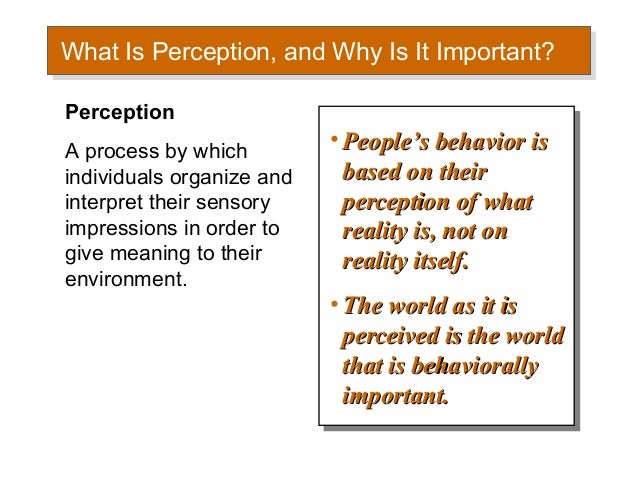 why is perception important