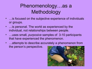 Phenomenology…as a
Methodology
• …is focused on the subjective experience of individuals
or groups.
• …is personal. The world as experienced by the
individual, not relationships between people.
• …uses small, purposive samples of 3-10 participants
that have experienced the phenomenon.
• …attempts to describe accurately a phenomenon from
the person’s perspective.
 