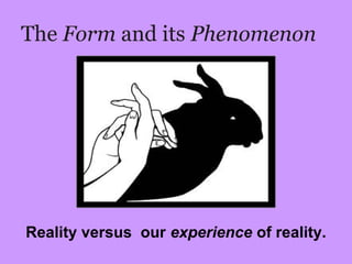 The Form and its Phenomenon
Reality versus our experience of reality.
 