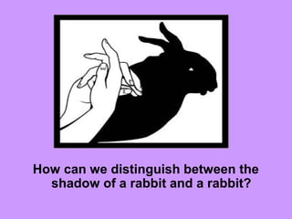 How can we distinguish between the
shadow of a rabbit and a rabbit?
 