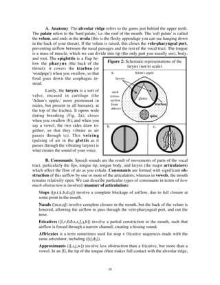 03- Phonetics and Phonology- with GLOSSARY.pdf