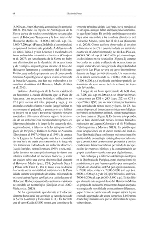 Elizabeth Pintar68
(8.900 a.p.; Jorge Martínez comunicación personal
2013). Por ende, la región de Antofagasta de la
Sierra carece de vacíos cronológicos sustanciales
entre el Holoceno Temprano y la fase inicial del
Holoceno Medio ca. 11.000-7.800 cal. a.p. (ca.
9.800-7.200 a.p.) (Figura 2) debido a la continuidad
ocupacional durante este período. A diferencia de
los sitios Tuina-4 y San Lorenzo-1 localizados en
áreas vulnerables a cambios climáticos (Grosjean
et al. 2007), en Antofagasta de la Sierra no hubo
una disminución en la densidad de ocupaciones
y de vestigios arqueológicos durante el final del
Holoceno Temprano y comienzos del Holoceno
Medio, apoyando la propuesta que el concepto de
Silencio Arqueológico se aplica al área central de
la Puna de Atacama, que fue más vulnerable a los
cambios climáticos del Holoceno Medio (Núñez
et al. 2013).
Además, Antofagasta de la Sierra evidenció
un fenómeno a escala diferente que la Puna de
Atacama. Los recursos botánicos utilizados en
CS1 provinieron del tolar, pajonal y vega, y los
animales cazados fueron vicuñas (cuyo hábitat es
mayormente el pajonal), y guanacos (cuyo hábitat
se infiere fue el tolar). El uso de recursos bióticos
asociados a diferentes altitudes sugiere la existen-
cia de un ambiente con recursos heterogéneos en
diferentes altitudes a lo largo de los cauces de ríos,
sugiriendo que, a diferencia de los refugios ecoló-
gicos de Puripica y Tulán en la Puna de Atacama
(Grosjean et al 1997; Núñez et al 1999), la cuenca
de la Laguna de Antofagasta más bien consistió
en una serie de oasis con extensión a lo largo de
ríos tributarios rodeados de un ambiente desértico
(oasis fluviales, sensu Bruniard 1999), o sea, múl-
tiples áreas en sectores próximos que tuvieron una
relativa estabilidad de recursos bióticos, y entre
las cuales hubo una cierta sincronicidad durante
el Holoceno Medio (p.ej., CS1, Quebrada Seca 3
y Peñas de la Cruz 1). Por lo tanto, esta evidencia
da cuenta de la variabilidad ambiental en la Puna
salada durante este período de aridez, mostrando la
existencia de refugios ecológicos y oasis durante el
Holoceno Medio y apoyando las recientes revisiones
del modelo de ecorrefugio (Grosjean et al. 2007;
Núñez et al. 2013).
Se ha argumentado que durante el Holoceno
siempre hubo agua en la región de Antofagasta de
la Sierra (Aschero y Hocsman 2011). Es factible
que el cerro Galán (5.800 msm), que constituye la
vertiente principal del río Las Pitas, haya provisto al
río de agua, aunque faltan archivos paleoambienta-
les que lo reflejen. Es posible también que este río
haya sido insensible a los cambios climáticos del
Holoceno Medio, como fue el río Loa (Grosjean
et al. 2005). Como ya fuera observado, el archivo
sedimentario de CS1 permite inferir un ambiente
estable en el sector intermedio del río Las Pitas ca.
9.000-8.000 cal. a.p. (8.100-7.400 a.p.), sin embargo,
los dos hiatos en su ocupación (Figura 2) durante
los cuales no existe evidencia de ocupaciones en
ningún sector de este río sugieren la alta probabilidad
que el río Las Pitas tuviera un curso intermitente
durante ese largo período de sequía. Un incremento
en la aridez comenzando ca. 7.800-7.200 cal. a.p.
(7.200-6.200 a.p.) explicaría un primer período de
abandono de este sector del río a favor de áreas
más favorables.
Luego de un hiato aproximado de 600 años,
ca. 7.200 cal. a.p. (6.200 a.p.), se observan breves
ocupaciones en CS1 y QS3 (capa 2(2) en CS1 y
capa 2b8 en QS3) que se caracterizan por tener una
baja densidad de restos líticos y óseos. En CS1 las
puntasdeproyectiltienencaracterísticasmorfológicas
diferentes al momento anterior, siendo lanceoladas
con base convexa (Figura 5). Es durante este período
que se han identificado breves eventos húmedos
registrados en Laguna Colorada y el río Mirihuaca
(Tchilinguirian y Morales 2013). Es posible que
estas ocupaciones en el sector medio del río Las
Pitas-Quebrada Seca conformen más una situación
ambiental de ecorrefugio restringido espacialmente
que a condiciones de oasis antes presentes y que las
condiciones húmedas habrían permitido la recupe-
ración de recursos bióticos y la concentración de
grupos cazadores-recolectores por algún tiempo.
Sin embargo, y a diferencia del refugio ecológico
en la Quebrada de Puripica, estas ocupaciones no
persistieron, ya que fueron seguidas por un segundo
período de abandono de CS1 por aproximadamen-
te 2.000 años, entre ca. 7.000-5.000 cal. a.p. (ca.
6.000-4.500 a.p.), y de QS3 por 800 años, entre ca.
7.000-6.200 cal. a.p. (6.200-5.400 a.p.). Es factible
que durante esta segunda fase del Holoceno Medio
los grupos de cazadores-recolectores hayan adoptado
estrategias de movilidad y asentamiento diferentes,
y que frente a condiciones de mayor aridez hayan
ocupado quebradas de altura sobre los 4.100 msm
donde hay manantiales que se alimentan de aguas
subterráneas.
 