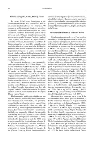 Elizabeth Pintar54
Relieve, Topografía, Clima, Flora y Fauna
La cuenca de la Laguna Antofagasta se en-
cuentra en el borde SE de la Puna Salada. Este es
un desierto de altura ubicado por sobre los 3.400
msm en un ambiente caracterizado por un relieve
de planicies onduladas interrumpidas por conos
volcánicos y cadenas de montañas que se elevan
por sobre los 5.500 msm. Entre los cordones más
altos se encuentra la Sierra de Calalaste, hacia el
oeste, el cerro Galán, la sierra de Laguna Blanca y
las Sierras Toconquis, hacia el este, y la cordillera de
Buenaventura al sur. Los humedales ocupan las zonas
más bajas del relieve, como ser el salar del Hombre
Muerto al norte, el salar deAntofalla al noroeste, la
Laguna deAntofagasta y la Laguna Colorada en el
área de estudio, y el salar de Carachipampa, donde
efectivamente se registran los valores altitudinales
más bajos de la puna (3.200 msm), hacia el sur
(García Salemi 1986).
La Laguna deAntofagasta es una cuenca endo-
rreica que cubre un área de 2.500 km2 (Figura 1). El
río más importante es el Punilla, que fluye hacia el
S. Este río tiene varios afluentes que fluyen de E a
W: los ríos Las Pitas, Mirihuaca y Toconquis, con
caudales que varían entre 2.000 m3/h y 700 m3/h,
respectivamente (Olivera et al. 2004). Estos cursos
de agua son permanentes y de régimen nivopluvial.
Sus fuentes se localizan en la vertiente occidental
del cerro Galán (5.800 msm). Hacia el oeste se en-
cuentran los ríos Calalaste y Nacimiento, tributarios
del río Los Colorados (intermitente) que fluye a la
Laguna Colorada. También hay una serie de lagunas
de altura (sobre 4.200 msm) en la Sierra de Laguna
Blanca y cerro Galán.
El clima en esta región es semiárido, con una
marcada amplitud térmica tanto diurna como anual.
Las estaciones son contrastadas, con precipita-
ciones líquidas y sólidas (granizo y nieve). Estas
precipitaciones son estivales e inferiores a los 100
mm anuales, y decrecen progresivamente de este
a oeste. Los vientos son frecuentes y alcanzan ve-
locidades que superan los 60 km/h. La vegetación
es xerófila y la cobertura vegetal es escasa (García
Salemi 1986). La vegetación varía según la altura:
en los fondos de cuencas y hasta los 3.900 msm
se encuentra el tolar, dominado por arbustos de
los géneros Acantholippia, Adesmia, Baccharis,
Fabiana y Parastrephia, y por sobre los 3.900 msm
se encuentra el pajonal dominado por especies de
los géneros Festuca y Stippa. Las comunidades
animales están compuestas por roedores (vizcachas,
chinchillas), pájaros (flamencos, suris, guayatas),
cánidos (zorro colorado), pumas y camélidos (vicuñas
y llamas, y un reducido número de guanacos en la
zona de Quebrada del Diablo, Depto. Antofagasta
de la Sierra).
Paleoambiente durante el Holoceno Medio
Estudios paleoambientales en la Puna basados
en evidencia multiproxy (sedimentos lacustres, gla-
ciares, registros de vegetación, depósitos aluviales)
reflejan una tendencia general hacia la aridización
del ambiente y un descenso de la humedad ca.
9.500-4.500 cal. a.p. (8.500-4.000 a.p.). Las cuencas
del Lago Titicaca (Bolivia), las Lagunas Miscanti y
Laguna del Negro Francisco (Chile) y de la Laguna El
Peinado (Argentina) reflejan una retracción de estos
cuerpos lacustres entre 8.500 y aproximadamente
4.500 cal. a.p. (Valero Garcés et al. 1996; 2000). Los
registros polínicos en la Laguna Seca (Chile) revelan
un descenso en el polen arbóreo y un aumento de
polen de gramíneas indicando una tendencia hacia
condiciones de mayor aridez y temperatura después
de 9.000 cal a.p. (Baied y Wheeler 1993). En El
Aguilar (Argentina), Markgraf (1985) propuso que
las condiciones de humedad del HolocenoTemprano
perduraron hasta ca. 8.200 cal. a.p. (7.500 a.p.), y
luego fueron seguidas por condiciones de aridez
hasta 4.300 cal. a.p. (4.000 a.p.). Los registros po-
línicos de Tumbre (Chile) y de la Laguna Miscanti
también muestran condiciones de sequedad entre
ca. 7.200-4.200 cal. a.p. (6.200-3.800 a.p.) y 9.000-
6.900 cal. a.p. (8.000-6.100 a.p.), respectivamente
(Graff 1992, citado en Grosjean et al. 2007).
Otros registros muestran que a pesar de la
aridez también hubo breves períodos húmedos y
fuertes tormentas. Períodos de mayor humedad
se han registrado en la Laguna Seca entre 5.800-
5.500 cal a.p. (Baied y Wheeler 1993), en el salar
de Atacama ca. 6.400 cal. a.p. (Grosjean y Núñez
1994) y también en el valle de Puripica (Chile) donde
los depósitos aluviales muestran que hubo varias
tormentas de moderada a fuerte severidad entre ca.
7.000-3.200 cal. a.p. (6.200 y 3.100. a.p.) (Grosjean
et al. 1997; 2007). Además, durante el Holoceno
Medio los glaciares en el Lago Taypi Chaka Kkota
y Laguna Viscachani que se habían retractado en
el Pleistoceno final, desaparecieron completamente
hasta ca. 2.200 cal. a.p. (2.300 a.p.) (Abbott et
al. 1997). En forma similar, en la zona de Pastos
 