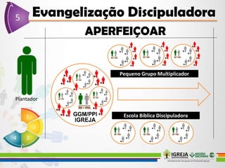 Plantador
Pequeno Grupo Multiplicador
Escola Bíblica Discipuladora
 