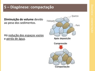 DIAGÉNESE - COMPACTAÇÃO 
5 – Diagénese: compactação 
Diminuição de volume devido 
ao peso dos sedimentos. 
Há redução dos espaços vazios 
e perda de água. 
 