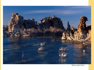 Mono Lake shore 
 